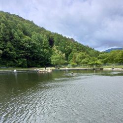 ペピーノ釣れる！　～平谷湖フィッシングスポット～